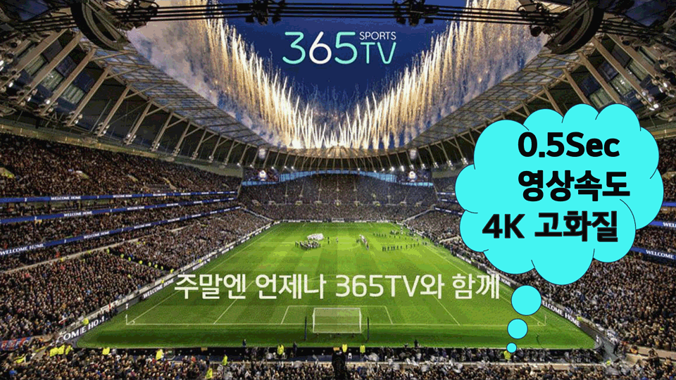 플레이어배경